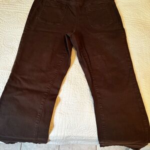 Belle by Kim Gravel Brown Flare Jeans